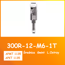 Głowica Frez Wkręcany 300R  Apkt 1135  ⌀10-26  42CrMo_7.png