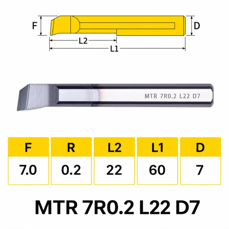 MTR_77.png