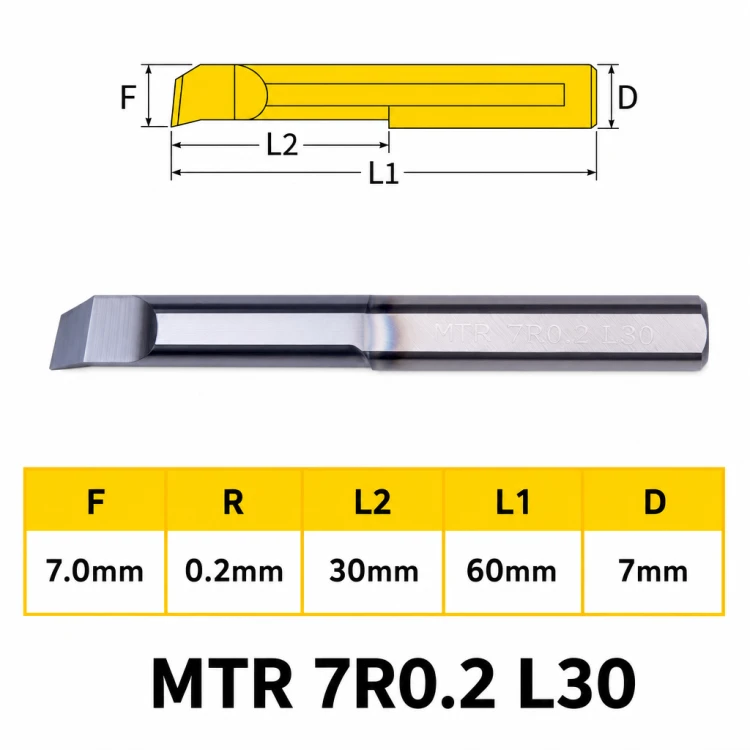 MTR_78.png