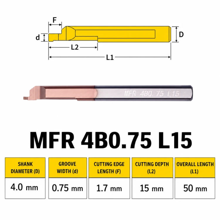 mfr_var_002.png