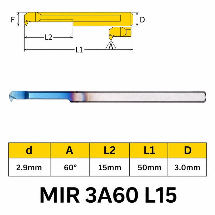 var_02.png