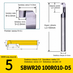 v7p2_SBWR20_100R010-D5