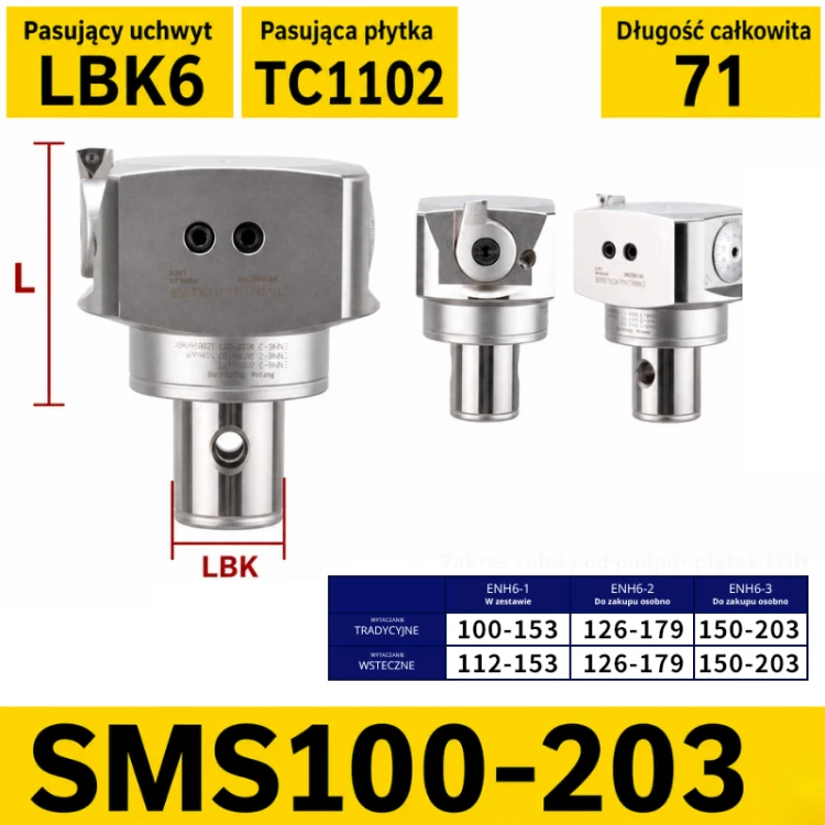 SMS100-203.png