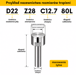 trzpien_tylne_wymiary_bt