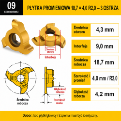 A03_RADIUS_TFM-0225.png