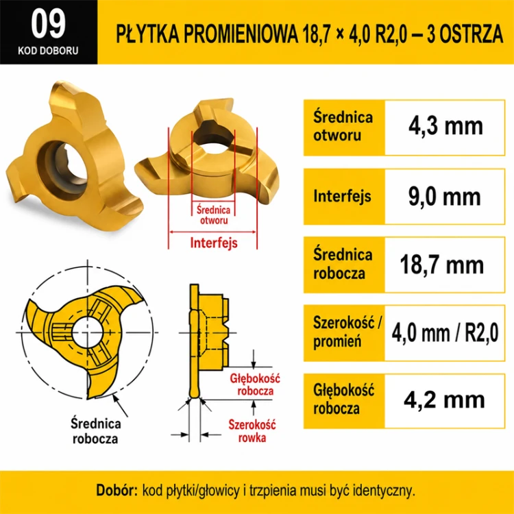 A03_RADIUS_TFM-0225.png
