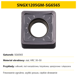 Plytka SG6565