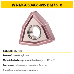WNMG080408-MS BM7818-A10.png