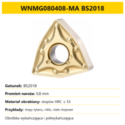 WNMG080408-MA BS2018.png