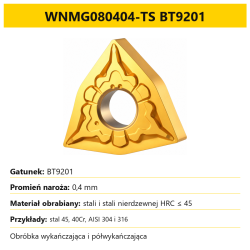 WNMG080404-TS BT9201.png