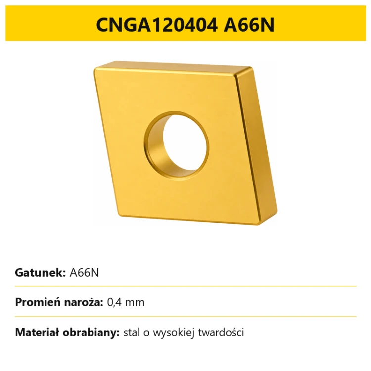 CNGA120404 A66N