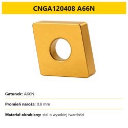 CNGA120408 A66N