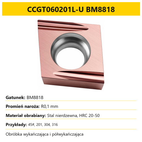 Go to product Carbide Turning Inserts CCMT/CCGT (10 pcs)