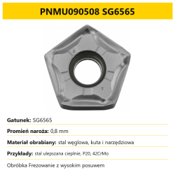 002_B_PL__PNMU090508__SG6565.png