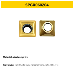 03_SPGX060204_stal
