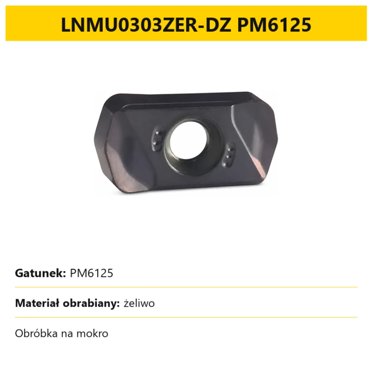 LNMU0303ZER PM6125 karta wariantu 2026-08-13