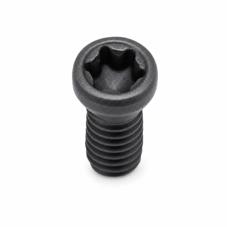 sruba-mocujaca-torx-klasa-12-9-glowne-v2.png