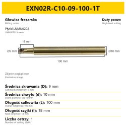 Głowica frezarska EXN02R-C10-09-100-1T