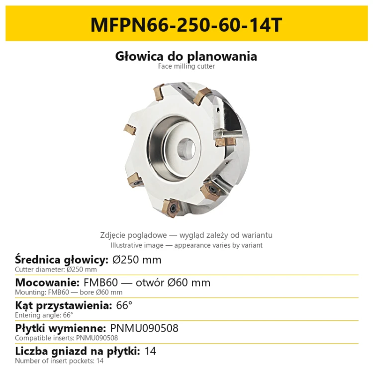 Face milling cutter MFPN66-250-60-14T