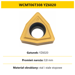 WCMT06T308 YZ6020.png