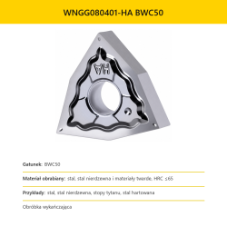 pid259_WNGG080401-HA_BWC50_put_1786634772.png